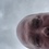Mike Taylor's picture