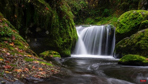 How to Use Focus Stacking for Sharper Landscape Images