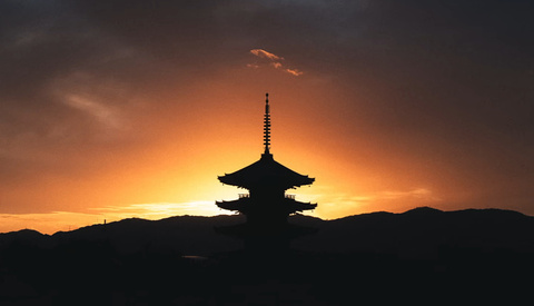 Simple Tips to Immediately Improve Your Photos