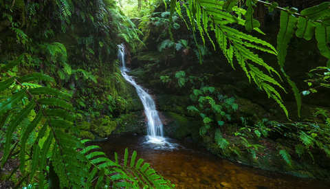 How to Compose Unique Waterfall Photos