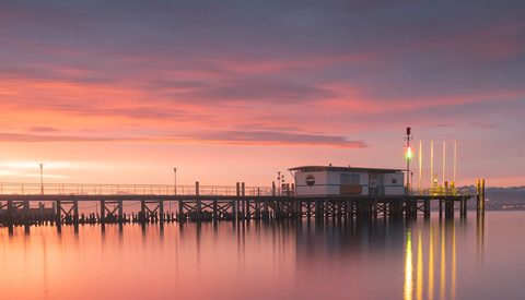 Bring Your Photos to Life: Easy Lightroom Color Tips