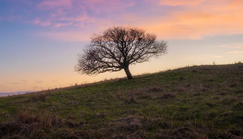 3 Overlooked Skills That Will Improve Your Photos