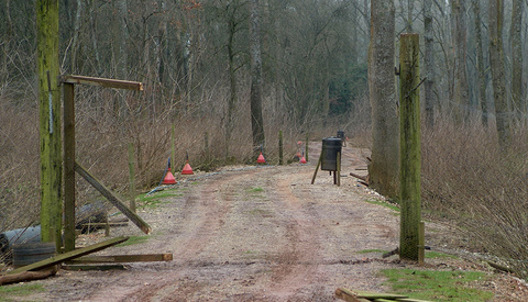 Poachers Posed as Wildlife Photographers to Illegally Hunt Deer