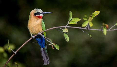 The Practical Guide to Shooting Raw vs. JPEG