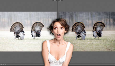 How to Rescue Your Worst Photos in Lightroom