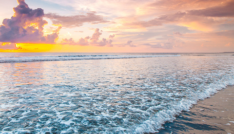 Tourist Loses Both Hands After Trying to Take Photos of Shark