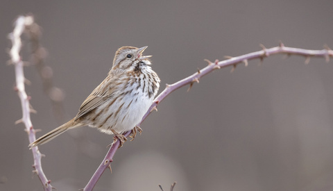 Don’t Let Manual Mode Trap You