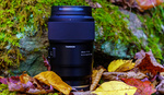 Macro Lovers, You’re Going to Want This Lens: We Tested the New Tamron 90mm f/2.8 Di III VXD
