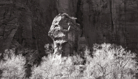 It's the Light Stupid (Part One)