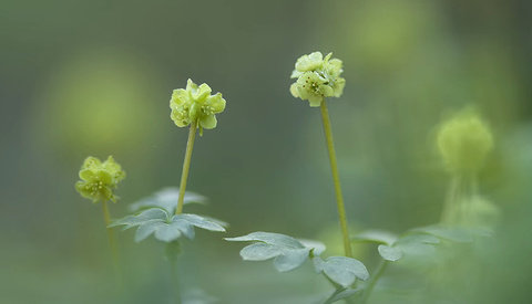 Mastering Unexpected Conditions in Nature Photography